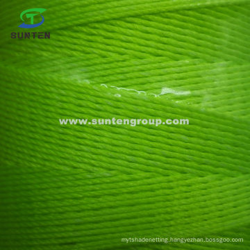 Green High Tenacity PE/PP/Polyester/Nylon Plastic Twisted/Braided Multi-Filament/Baler/Thread/Packing Line/Fishing Net Twine 210d/380d by Spool/Reel/Bobbin